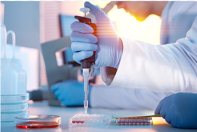 中科信软论文辅导的主流技术与学科方向